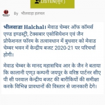 Bhilwara-Halchal-Budget-04.02.2020-473x1024